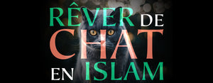 Rêver de Chat en Islam