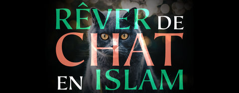 Rêver de Chat en Islam